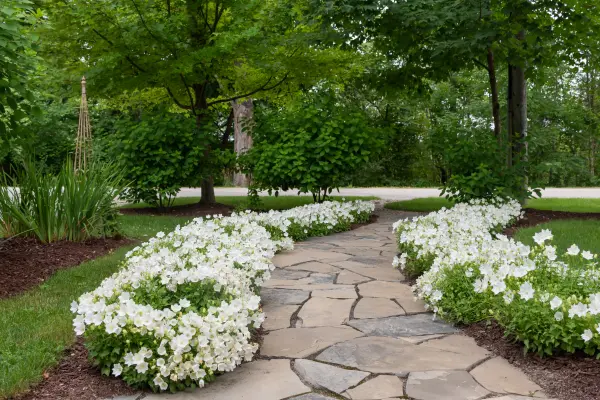 chemin-paysagé-mcf-terrassement