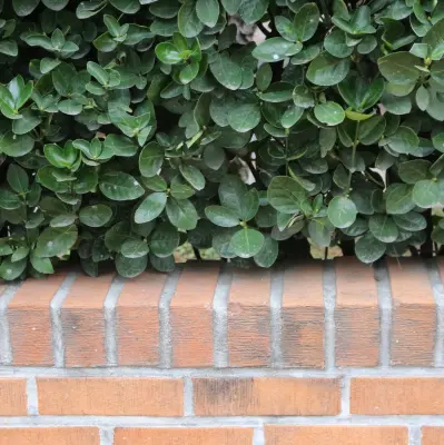 muret de jardin en briques pour aménagement extérieur